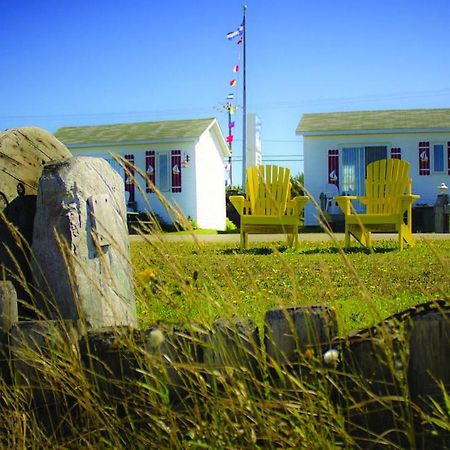 Les Cabines Du Phare Rimouski Exteriér fotografie